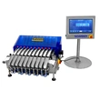 Multi-lane Checkweigher for Separate Stickpack Pouches Multi-Conveyor Line Weighing Scale