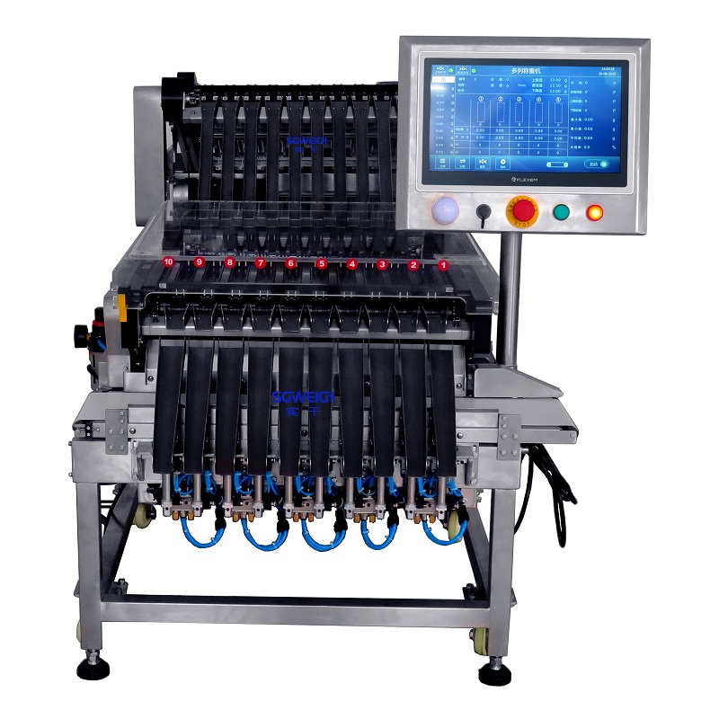 High Precision 10 lane Checkweigher High Precision 10 lane Checkweigher