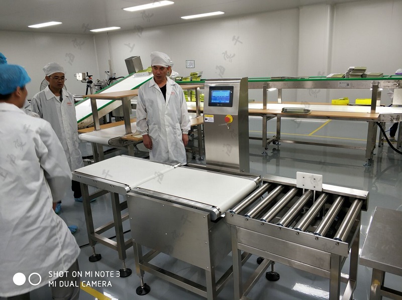 in-line checkweigher for industrial packages