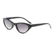 Fashion Cat Eye Sunglasses