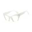 Novelty Cat Eye Sunglasses