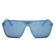 Plastic Sunglasses Over Size