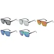 Plastic Sunglasses Over Size