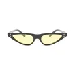 Retro Cat Eye Sunglasses