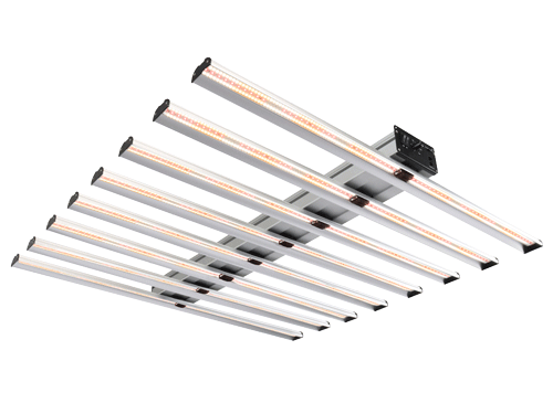 NEW LIGHT RELEASED IN MARCH, 2022