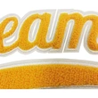 patchs letterman, patchs de nom de script de queue de chenille fer sur