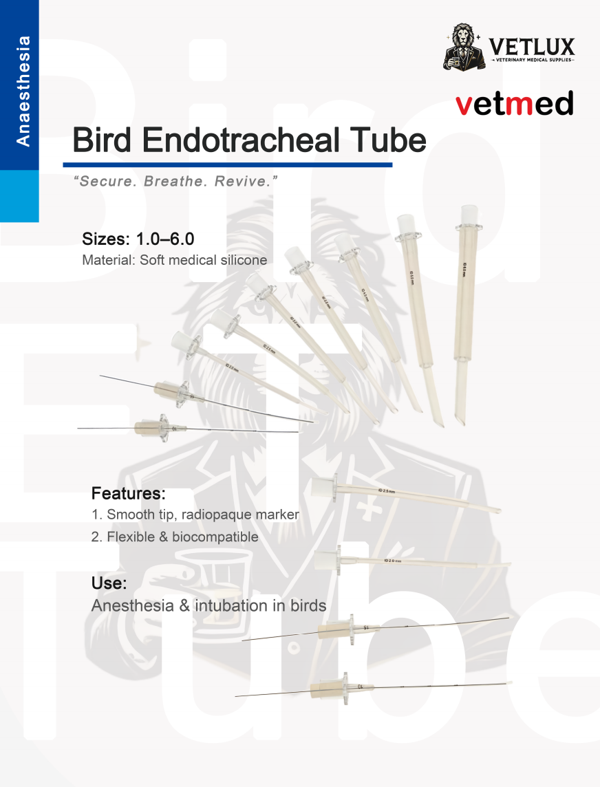 1762189584468550.png image.png