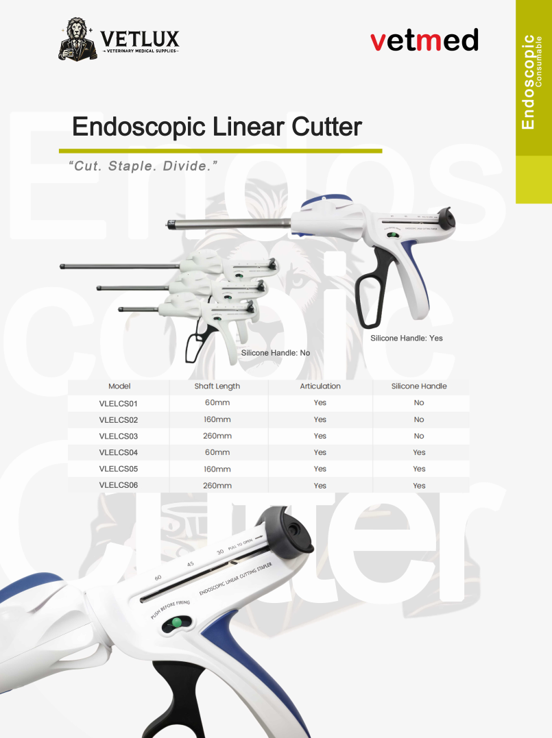 1762246153965001.png image.png