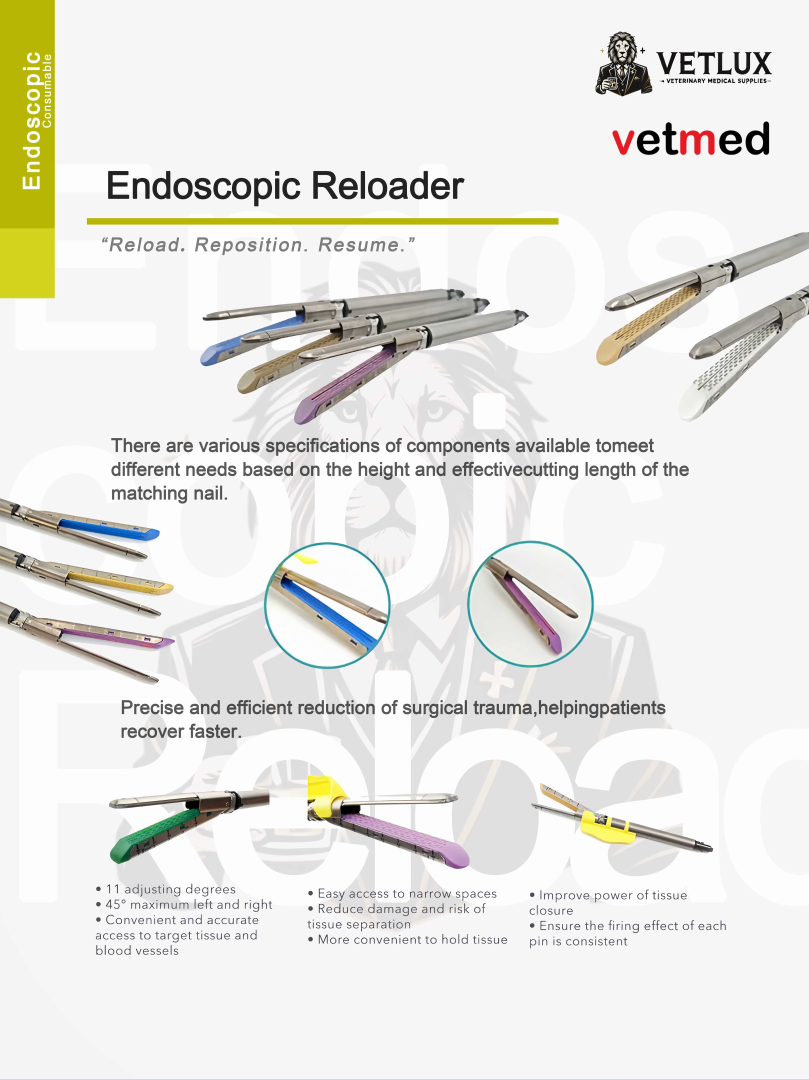 1762246918353314.png image.png