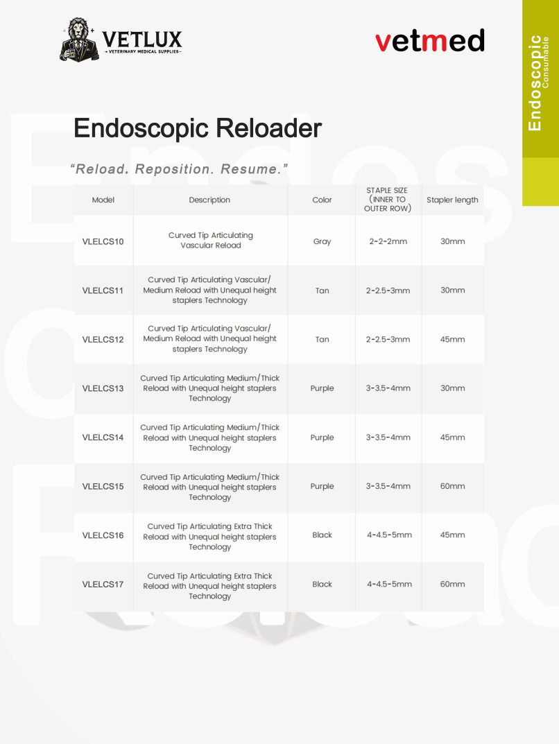 1762246929669825.png image.png