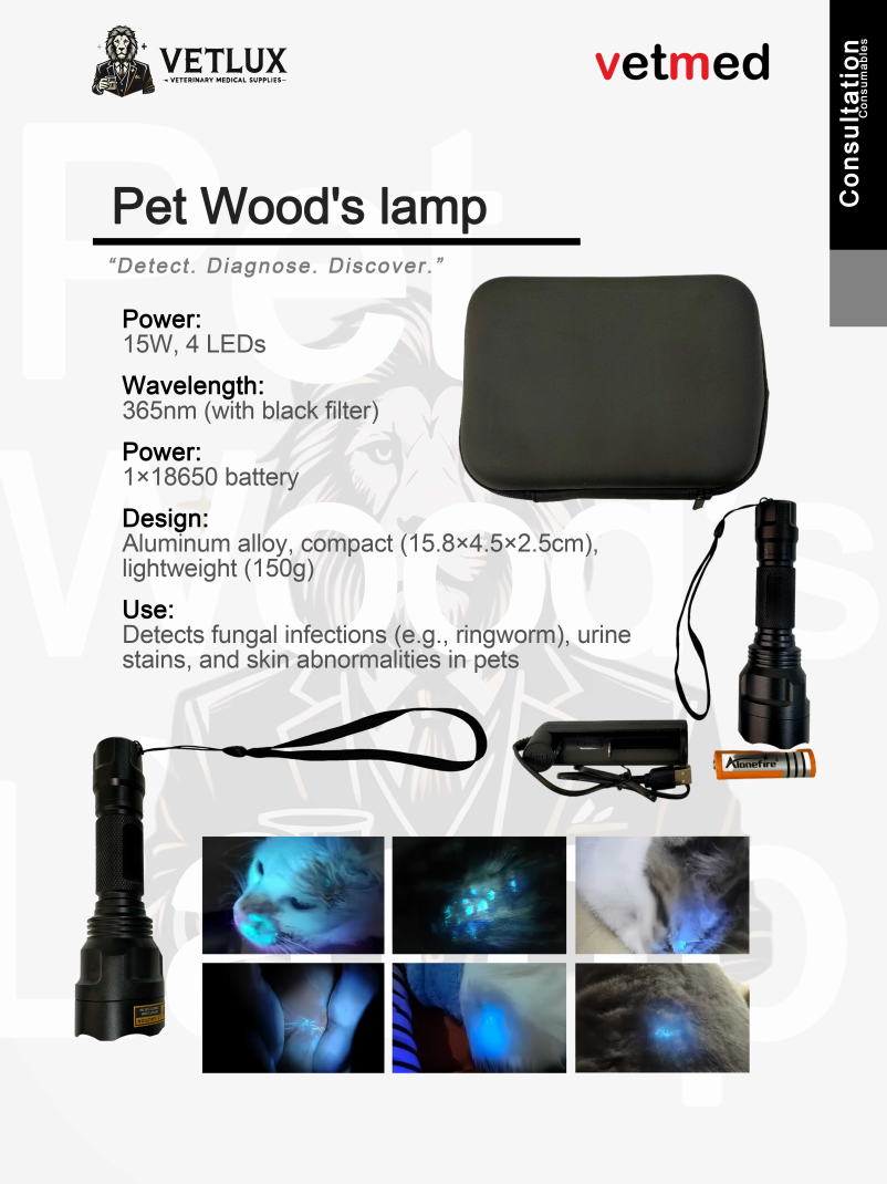 1762268099750819.png image.png