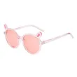 Cute PC Child Sunglasses -Factory Direct Wholesale