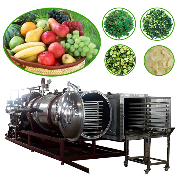 Industrial 10m2 / 50m2 /100m2 Vacuum Fruit Food Freeze Dryer