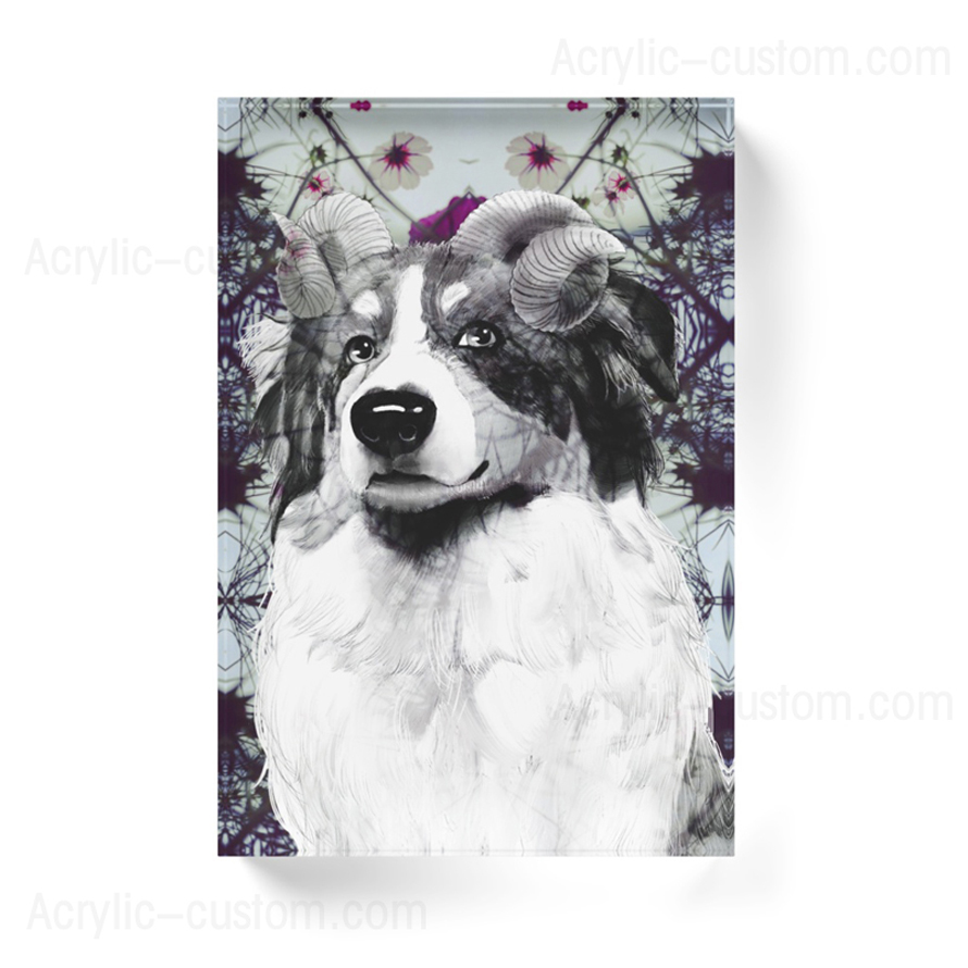 Bloc d'affichage acrylique pour chien bloc photo pour souvenir