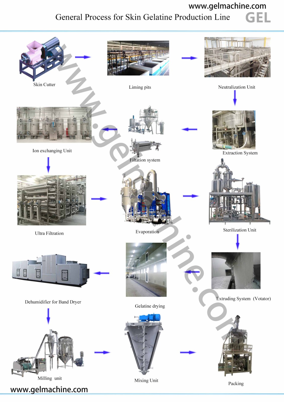 skin gelatine line flow chart -eng.jpg