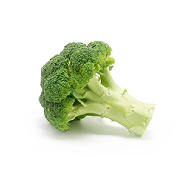  (SEO Title: limited to 70 characters.)