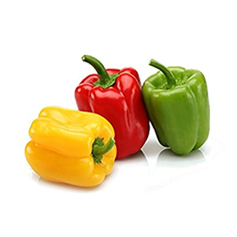  (SEO Title: limited to 70 characters.)