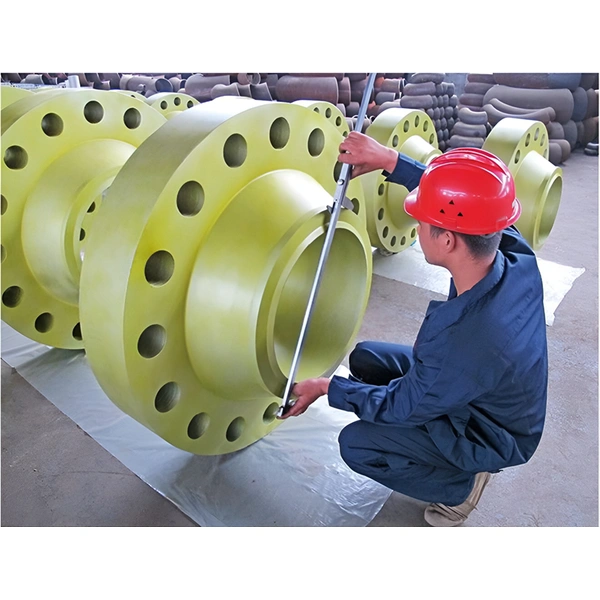 Flanges & Pipe Accessaries