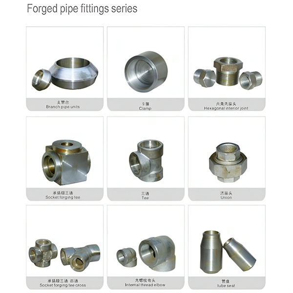 Pipe Fittings & Accessaries