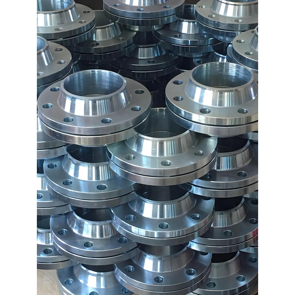 Flanges & Pipe Accessaries