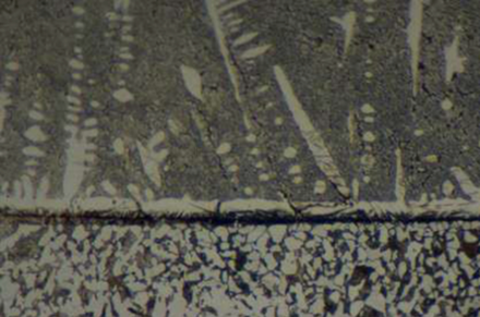 Micro Section 2(3).png