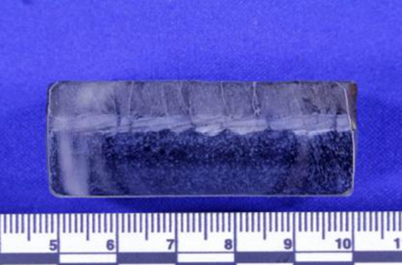 Micro Section 1(2).png