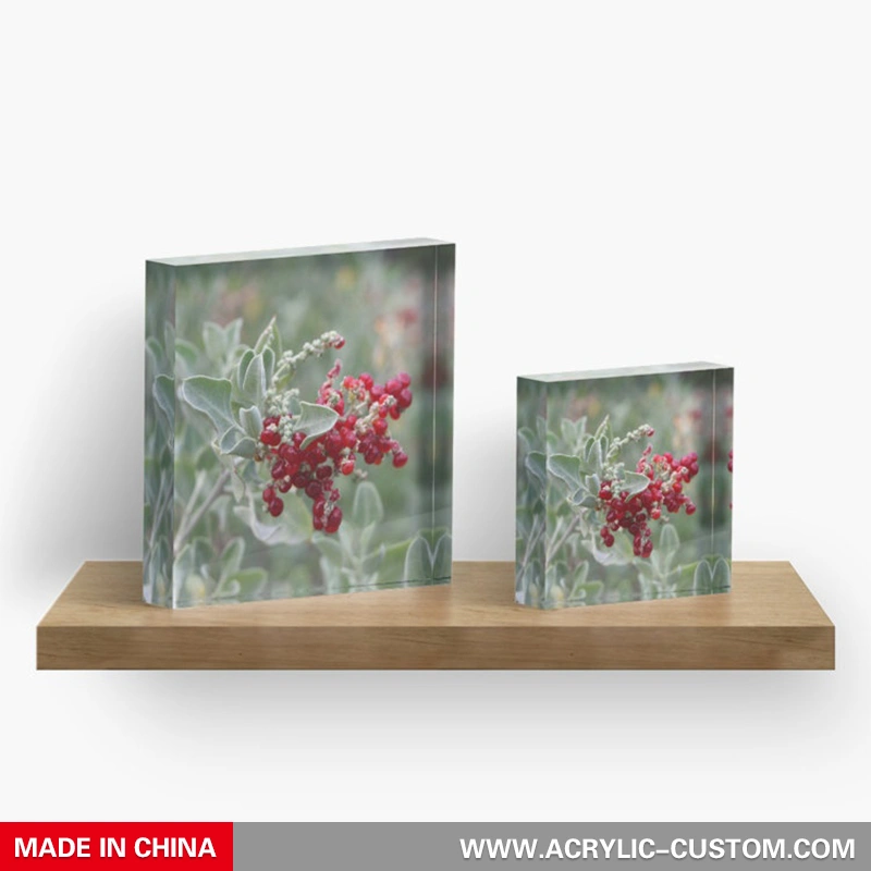 工芸品用フォトブロックアクリルブロック-アクリル-custom.com 