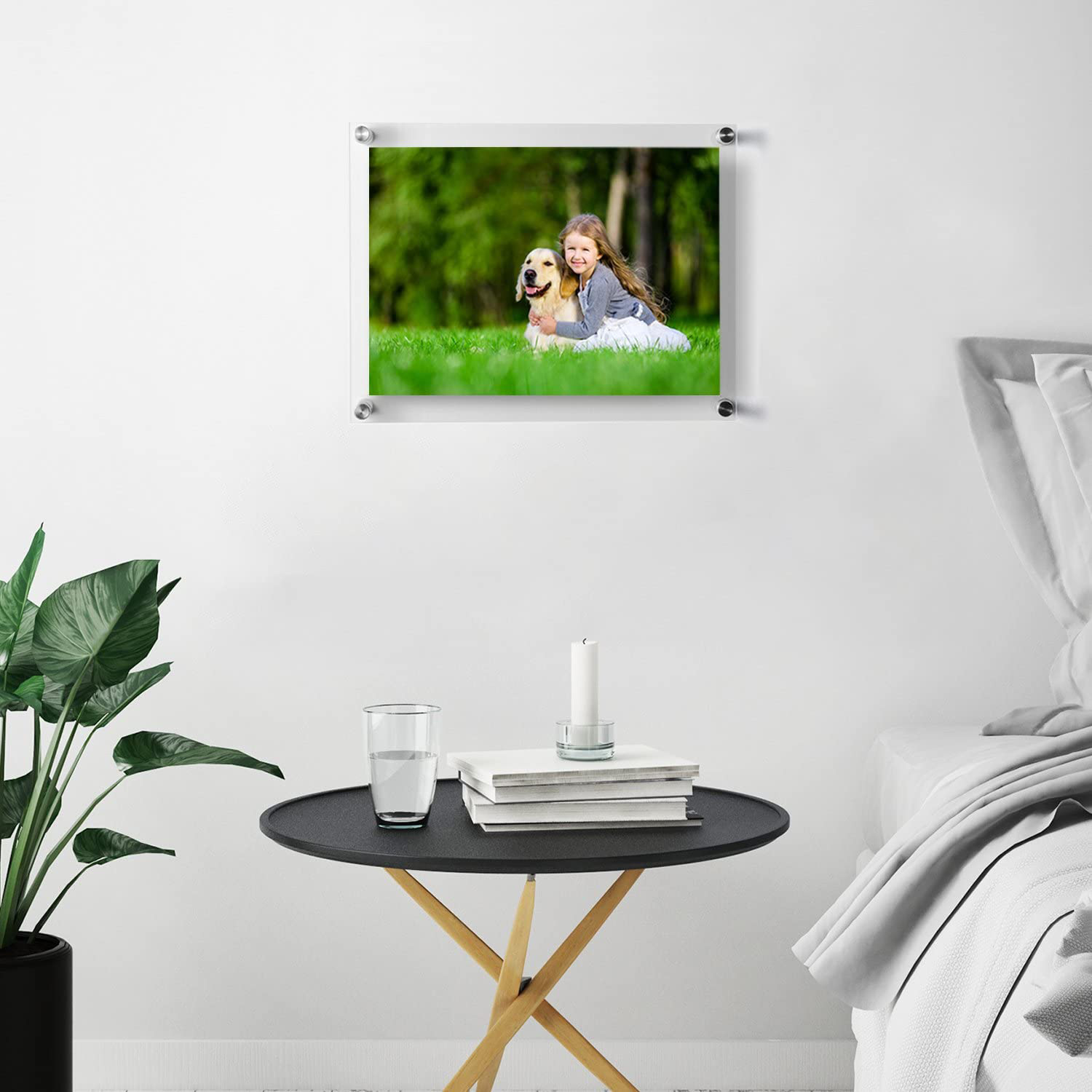 8.5 x 11 Wall Mount Picture Frames Frameless Clear Acrylic Frame