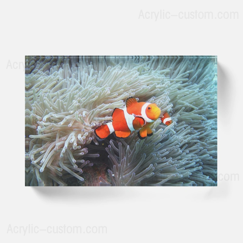 卸売安いアクリルロゴブロックアクリル写真装飾ブロック 