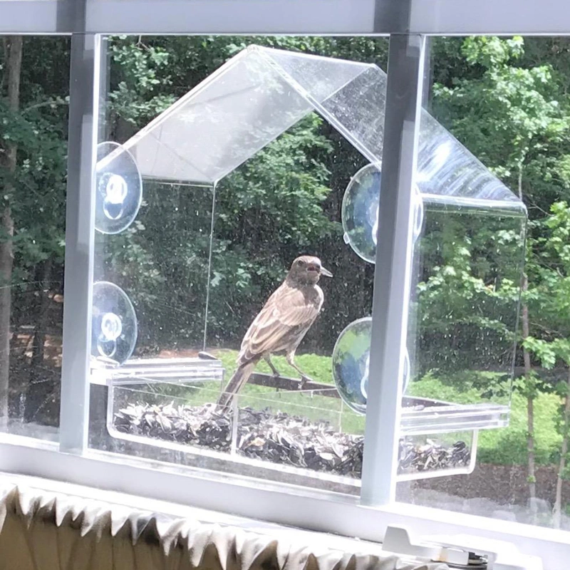 大きなアクリルの鳥の家-透明な窓の鳥の餌箱
