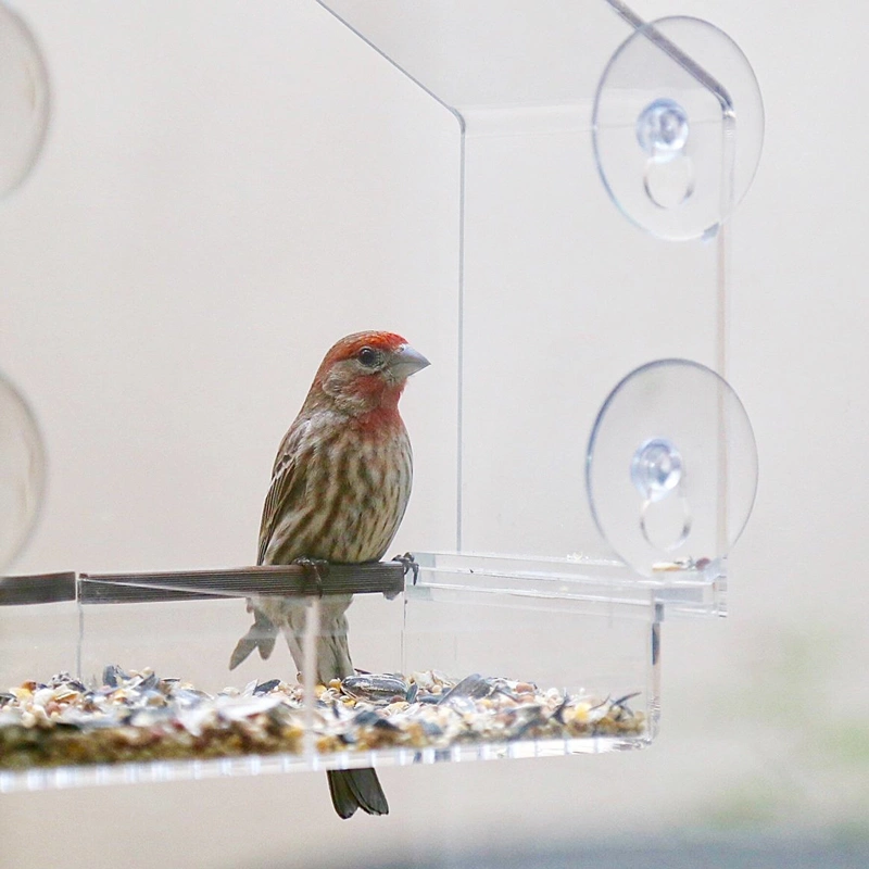 大きなアクリルの鳥の家-透明な窓の鳥の餌箱