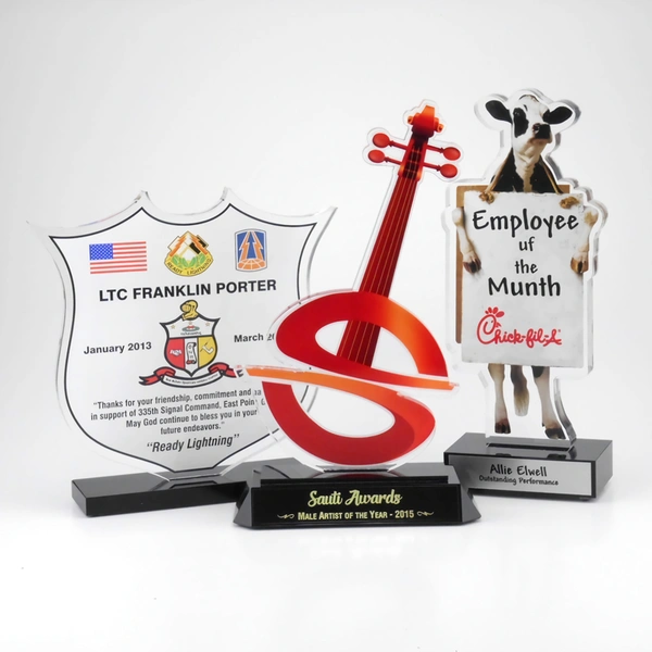 カスタム形状のアクリル賞の盾-ルーサイト賞