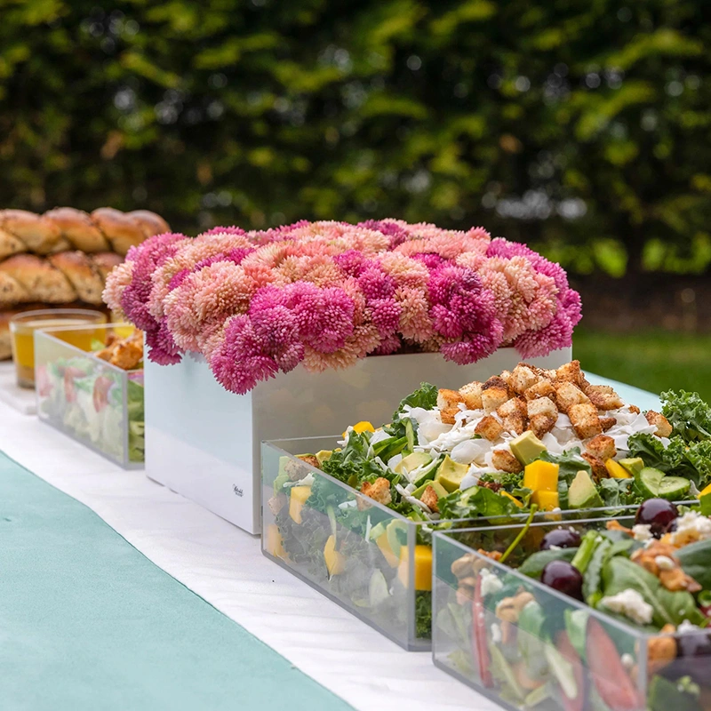 ピンクの花瓶ベンチャーセット | ルーサイト バーカット ハアマゾン カード ホルダー