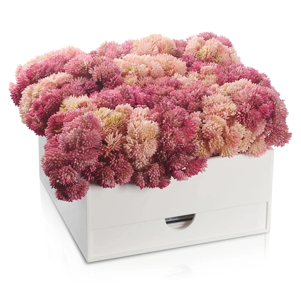 ピンクの花瓶ベンチャーセット | ルーサイト バーカット ハアマゾン カード ホルダー