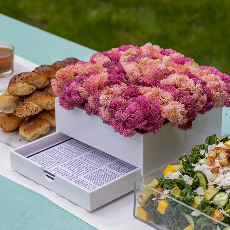 ピンクの花瓶ベンチャーセット | ルーサイト バーカット ハアマゾン カード ホルダー