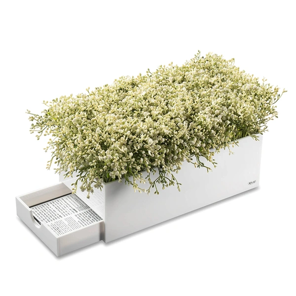 Babys Breath Bencher Set | Jewish Gift 8 Pack Birchat Hamazon