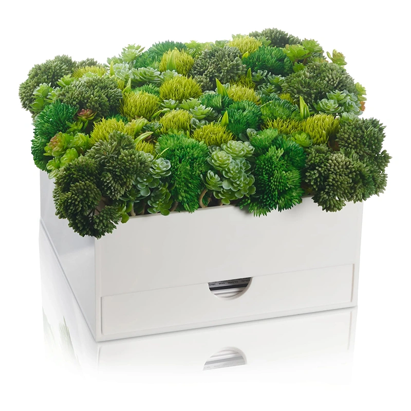 花瓶ベンチャーセット | シャボス ルーサイト バーカット ハアマゾン ホルダー