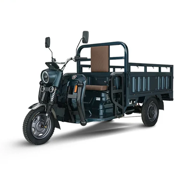 Cargo Best Electric Tricycle for Dult