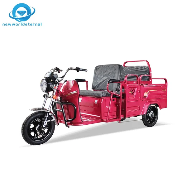 Electric Cargo Tricycle Best Price Electric Trike for Delivery Business Heavy-Duty