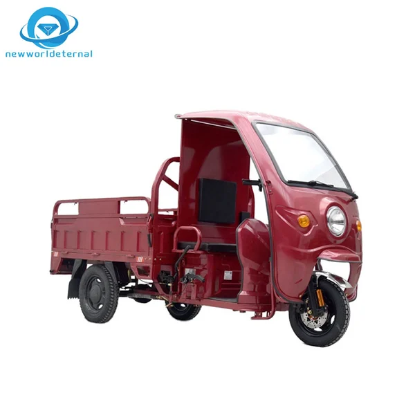 Cargo Electric Tricycle Electric Tricycle Elderly Urban Passenger and Cargo Export 24