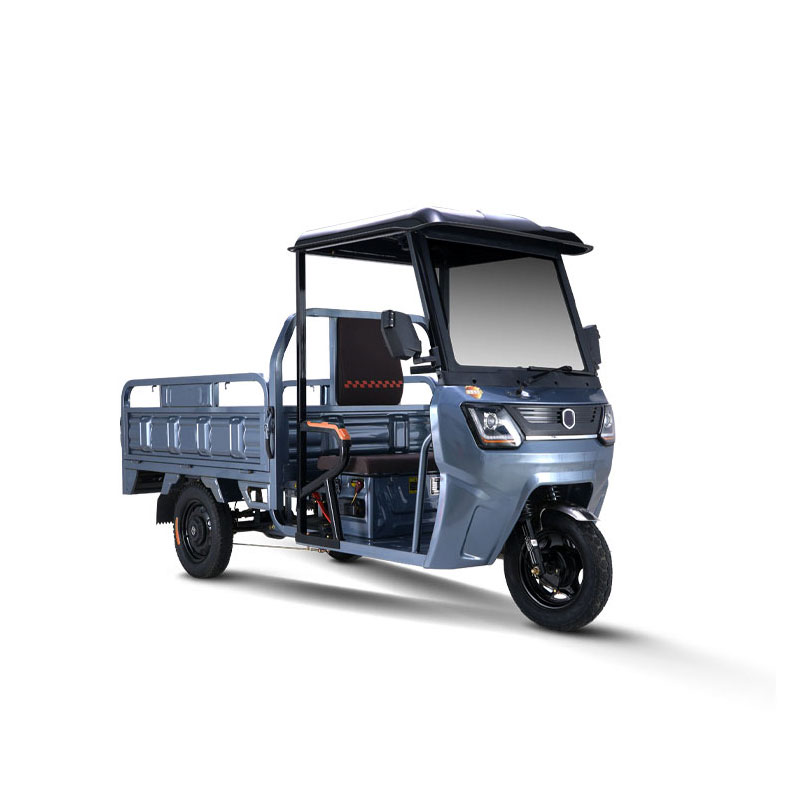 Export Overseas Discounts Electric Tricycle  Three-wheeler Accessories Customization Service with canopy farm 