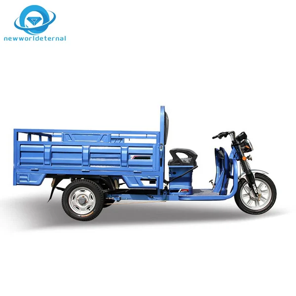 Loading Farm Agriculture Three-wheeler  Comfortable Service Overseas Export Discounts Electric Tricycle Farm Motorbike Cargo Trike