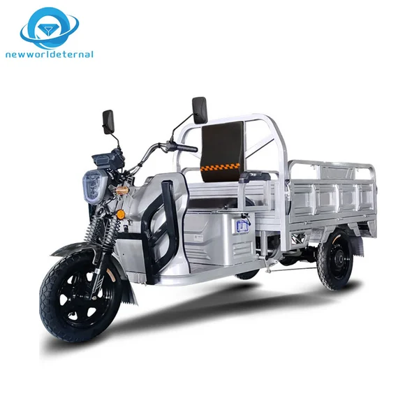 New Three-wheeler  Comfortable Service Overseas Export Discounts Electric Tricycle Farm Motorbike 3 Wheels