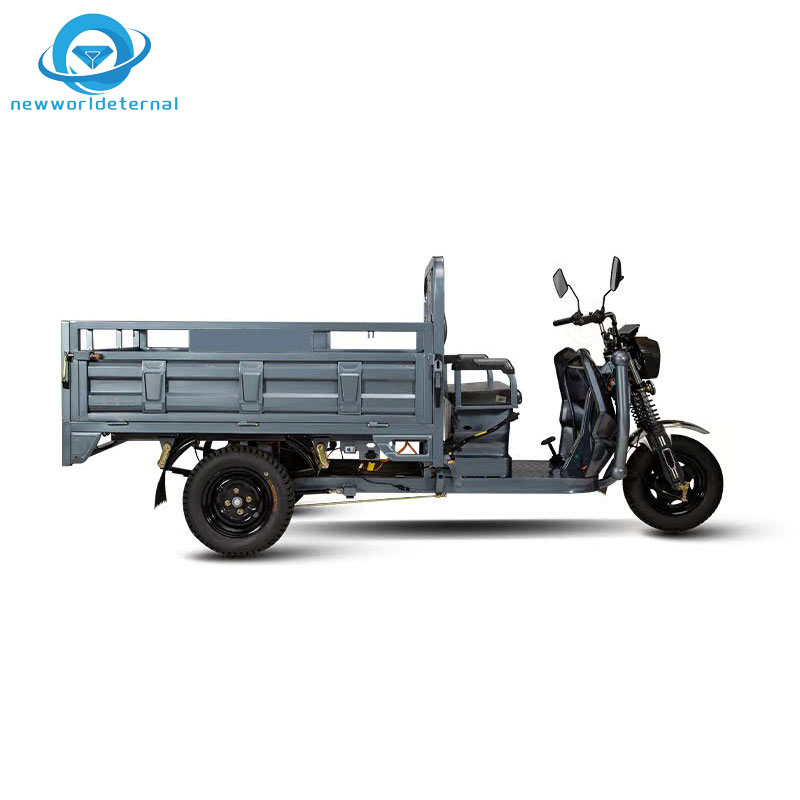 P Three-wheeler Accessories Customization  Comfortable Service Overseas Export Discounts Electric Tricycle trike