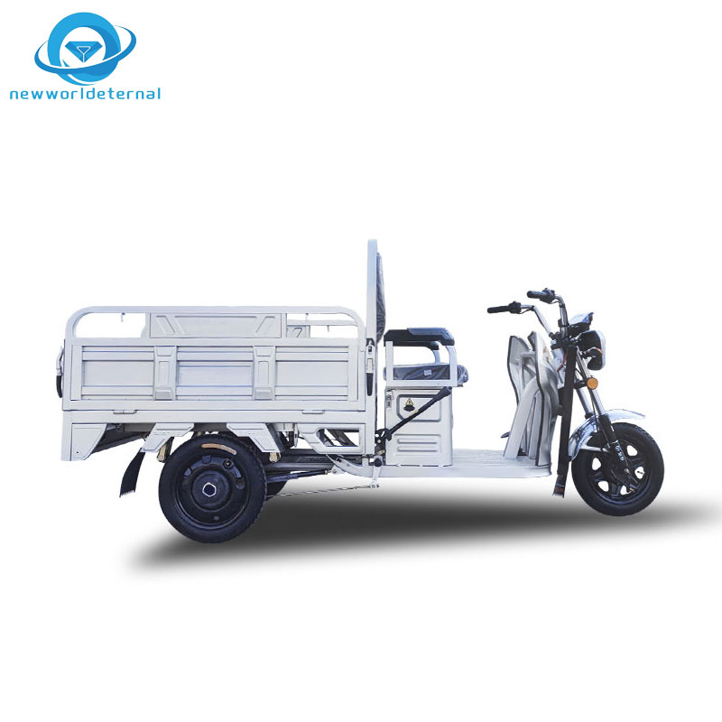 Replaceable Battery Trike Export Three-wheeler  Service Overseas Export Discounts Electric Tricycle Motorbike
