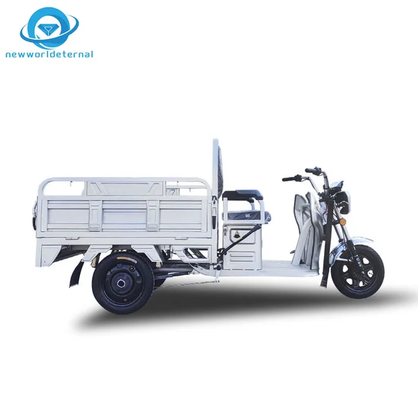 Replaceable Battery Trike Export Three-wheeler  Service Overseas Export Discounts Electric Tricycle Motorbike