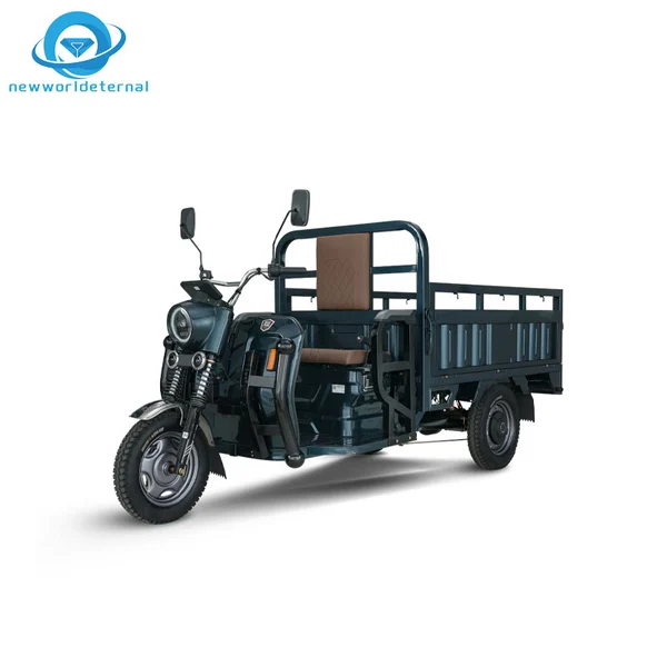 Three-wheeler Export Discounts Electric Tricycle 3 Wheels Electric Trike with Canopy  Motorcycle