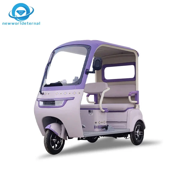 V3 Wheels Overseas Export Discounts Electric Tricycle  Three-wheeler  with Canopy Cargo Trike Motorcycle