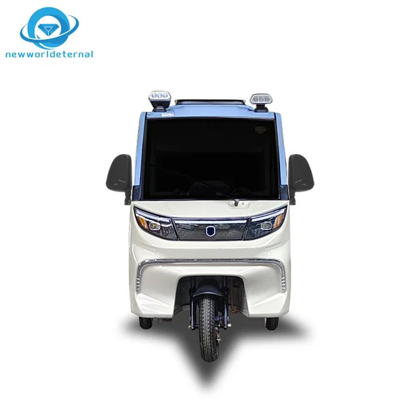 Youth-oriented Tricycle Overseas Export Discounts Electric  Three-wheeler 3 Wheels Bike Export with Canopy