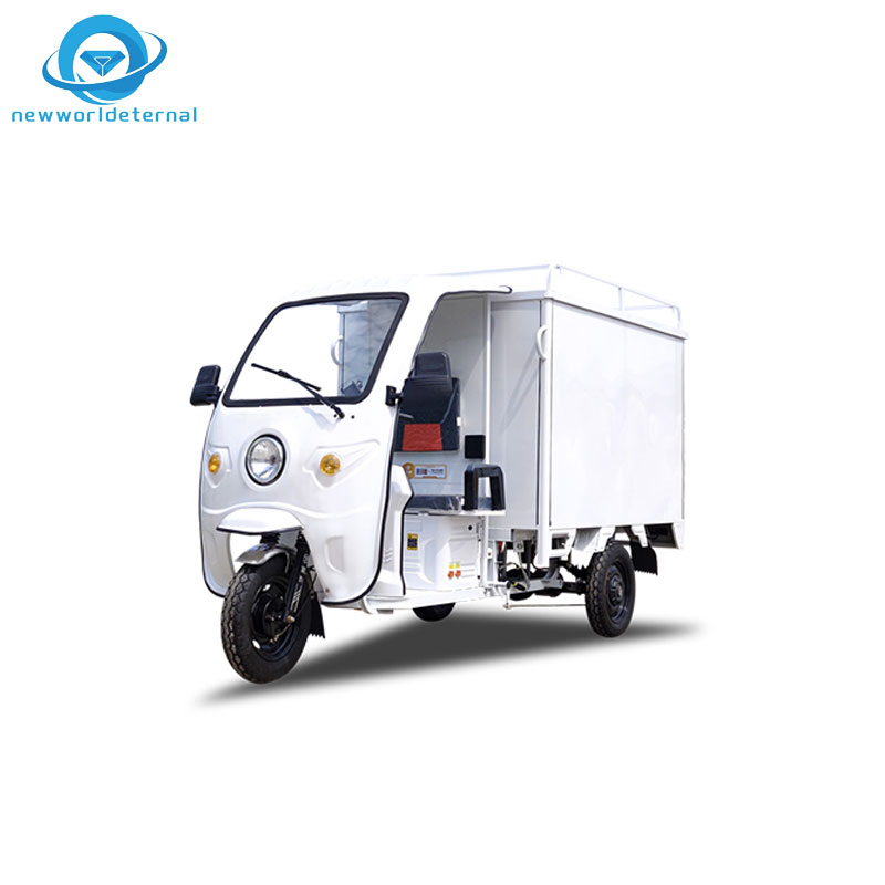 Zen Export Discounts Electric Tricycle  Three-wheeler Accessories 3 Wheels with Canopy Cargo Trike Motorcycle